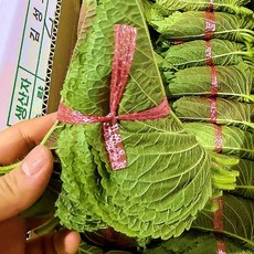< 바른농산 > 국내산 깻잎 쌈채소 찹찹이깻잎 (1.5kg~2.5kg 내외), 1개, 1kg