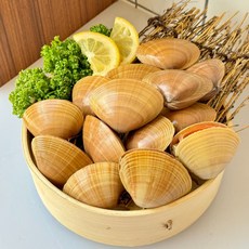 원일수산 부산 명지 명물 갈미조개 1Kg 16미 내외 (3Kg 초과 시 분할배송), 1개, 1 Kg