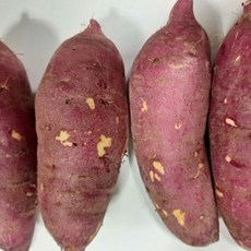 아빠의 마음 세척 꿀고구마, 3kg (특상품), 1개
