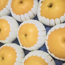 [200박스한정] 나주배보다 더 맛있는 초고당도 먹골배 특품, 1박스, 5kg