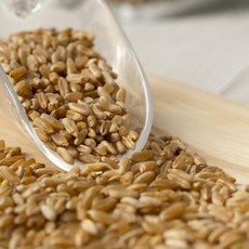 [소비가한: 26년03월18일] 호주 청정 키알라 유기농 100% 호라산 밀 1Kg팩, 1kg, 1개