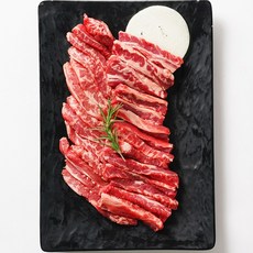 [미트플렉스] 미국산 소고기 초이스등급 냉장 갈비살, 600g, 1개