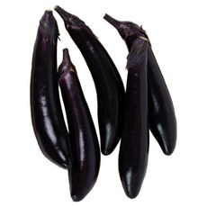 [굿피플] 못난이가지 국내가지 야채 국산가지, 1박스, 못난이 가지 5kg