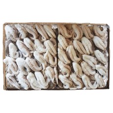 냉동 절단 손질 쭈꾸미, 1개, 베트남 L 2.7KG