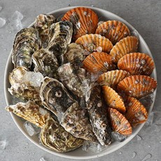 당일조업 통영 세척 석화 가리비 세트, 1세트, 석가세트 4.석화3kg+가리비3kg