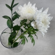 [런플라워] 흰색국화 대국 성묘 추모꽃다발 국화꽃5송이 꽃택배, 1개, 대국2송이,초록잎,꽃포장