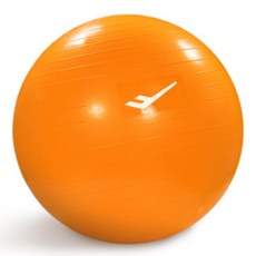 프로-스펙스 안티버스트 짐볼 오렌지 65cm PVC