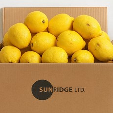 썬리지 못난이 레몬 대용량, 1박스, 못난이 중소과 4kg