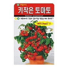키작은 토마토 씨앗 50립 방울토마토 종자 씨, 5개