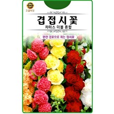 KS종묘 겹접시꽃 30립 차터스 더블 혼합 접시꽃 고급 꽃씨 씨앗 종자, 1개