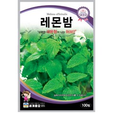 허브 씨앗 레몬밤종자 허브씨추천, 7.오레가노1000립, 1개