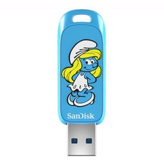 샌디스크 USB 스머프 CZIS Smurf Edition 3.2 메모리, 불루, 256GB