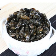 동강청정원 국내산 자연산 생다슬기 가장 큰 사이즈, 1세트, 3kg