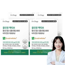 닥터올로지 올인원 활성 엽산 800 비타민D 60정, 4박스, 60회분