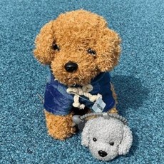 네이처타임즈 부들푸들 후드 강아지 봉제인형 + 강아지 키링 랜덤발송, 20cm, 네이비, 1세트