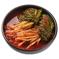 프리미엄 맛있는 파김치 쪽파 김치 5kg 10kg, 1개