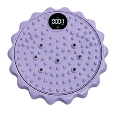 HULULU 스마트 발지압 스텝퍼 360도 트위스트 운동기구 디지털 디스플레이 칼로리 시간 측정, 1개, 퍼플