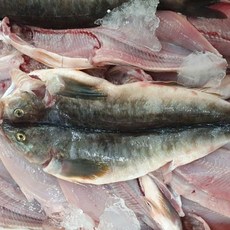 미식해 가성비 임연수 10미 국내산 반건조 생선, 1세트, 10미 750g