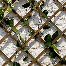 (주)조이가든센터 GL 원목 트렐리스, 소