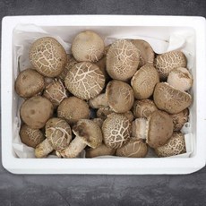 [햇님농장] 충북 박대선님의 무농약 송화고 버섯 선물세트 2호, 1세트, 1kg