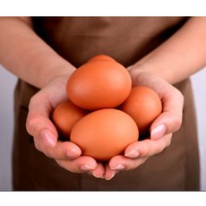 무항생제계란 당일생산당일출고 신선대란60구 90구 HACCP 청라상회골드계란, 2개, 30구