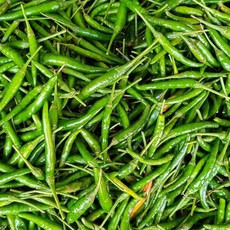 [황식이네] 국내산[특] 청양고추 매운땡초 당일배송 500g 1kg 2kg 3kg 5kg 10kg, 1박스, 청양 2kg