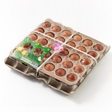 스탠다드에그 맥반석 구운란 산지직송 구운계란, 30구