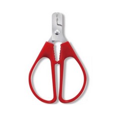 잣까기 잣까는도구 기계 땅콩 가위 은행까기, 1개