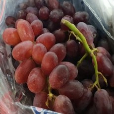 씨없는 포도 크림슨 적포도, 1개, 1kg