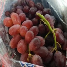 씨없는 포도 크림슨 적포도, 1개, 2kg