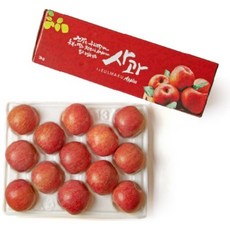 [알뜰] 저탄소 gap인증 사과세트3호 3kg(9~10입)/BFK, 1개
