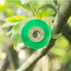 접목테이프 광분해 자체접착 2cm/2.5cm/3cm/4cm - 100m 접목 x 식물테이프 테이프 원예용 4사이즈, 2cm, 1개