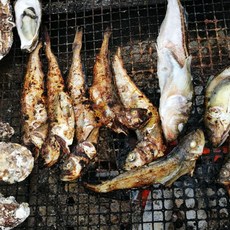 동해 자연산 급냉 겨울제철 알배기 도루묵 묵호항, 1개, 500G