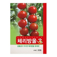 마이산도시농부 체리 방울 토마토 씨앗, 1개