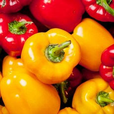 파프리카 빨강 노랑 혼합 못난이 파프리카 1kg 2kg 3kg 4kg 5kg, 1박스