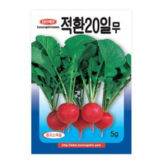 적환20일무 5g 경신씨앗, 적환20일무 1000립