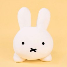 데이니즈 미피 바디필로우 (일반 61cm), 혼합색상