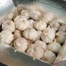 농업회사법인(주)조양FNG 조양FNG 국내산 경남 창녕 통마늘, 1kg, 1개