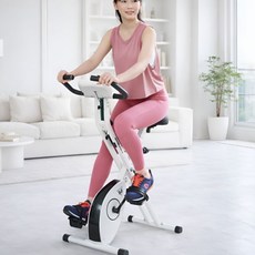 비앰비스포츠 접이식 실내 자전거 바이크 운동기구 사이클 모음, BSI-F14 BSI-F14