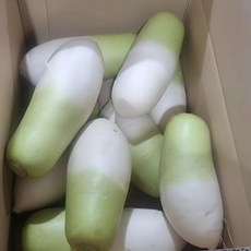 아삭 달큰한 제주 월동무 무우 세척무 햇무, 1박스, 3kg