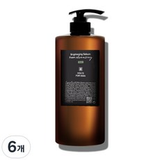 홀츠포맨 남자 남성 화장품 브라이트닝 세범 폼클렌징 피지제거 밝은피부 클렌징폼, 6개, 1L