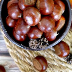 햇밤 2025년 햇 부여알밤 / 특사이즈 / 국내산 부여햇밤, 1개, 2kg