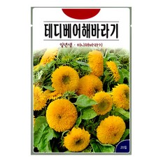 KS종묘 테디베어해바라기 20립 미니해바라기 꽃씨 씨앗 종자, 1개