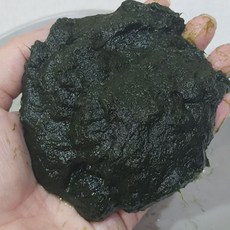 냉동 국산 완도 매생이 400g, 1개