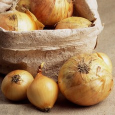 친환경 무농약 양파 2kg 3kg 5kg, 1박스, 무농약 양파 5kg