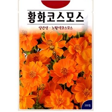 KS종묘 황화코스모스 200립 노란색 코스모스 일년생 꽃씨 씨앗 종자 고급씨앗, 1개