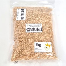 오분도미 5분도 쌀 황미 일반지퍼백, 1kg, 5개