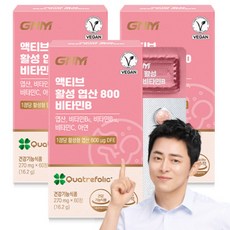 [1박스당 2개월분] GNM 액티브 활성 엽산 800 비타민B / 아연 비타민C 임산부, 60정, 3박스