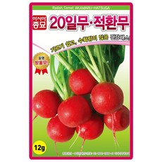 아시아종묘 20일무 적환무 씨앗 12g 적환무씨 샐러드 쌈용 종자, 1개