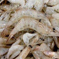 냉동 민물새우 새우깡 새우튀김 육수 김장, 400g, 1개